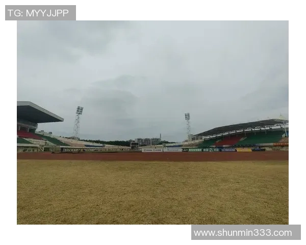 怀念辽宁足球的辉煌岁月与激情瞬间重温那段难忘的绿茵传奇 怀念辽宁足球的辉煌岁月与激情瞬间重温那段难忘的绿茵传奇