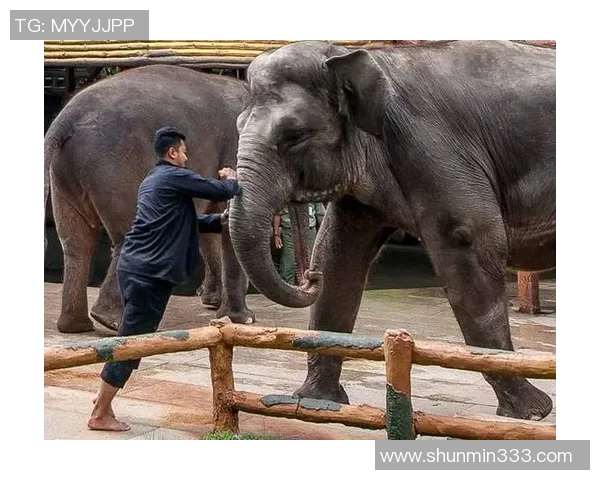 印尼足球粗暴现象引发争议球迷与媒体对暴力行为的反思与呼吁